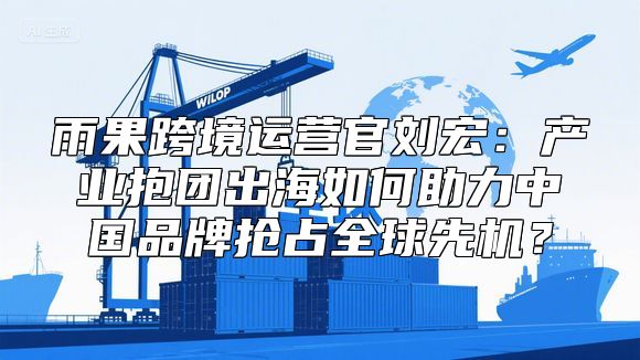 雨果跨境运营官刘宏：产业抱团出海如何助力中国品牌抢占全球先机？