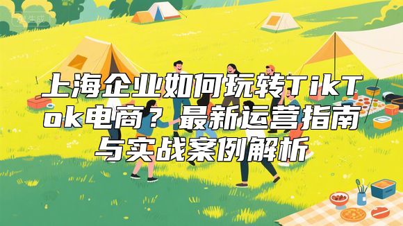 上海企业如何玩转TikTok电商？最新运营指南与实战案例解析
