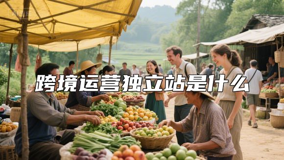 跨境运营独立站是什么