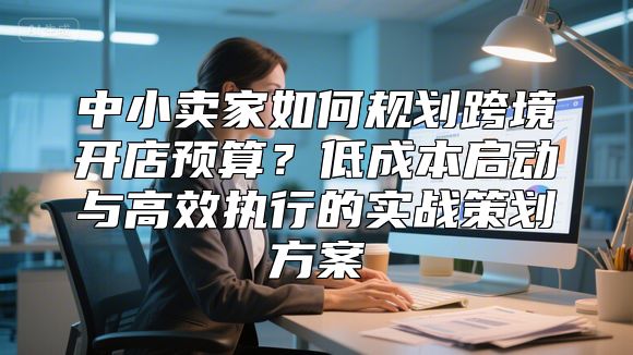 中小卖家如何规划跨境开店预算？低成本启动与高效执行的实战策划方案