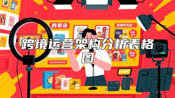 跨境运营架构分析表格图