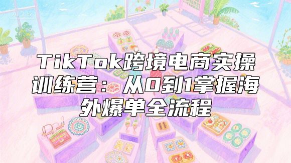 TikTok跨境电商实操训练营：从0到1掌握海外爆单全流程