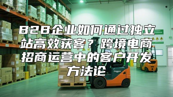 B2B企业如何通过独立站高效获客？跨境电商招商运营中的客户开发方法论