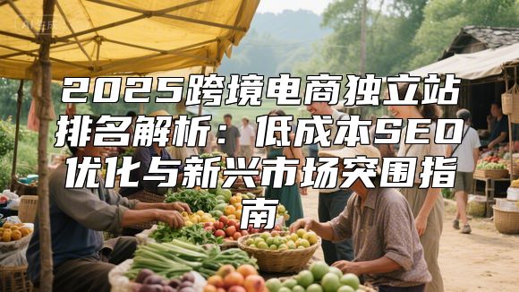 2025跨境电商独立站排名解析：低成本SEO优化与新兴市场突围指南