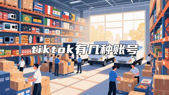 tiktok有几种账号