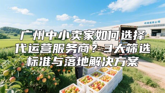 广州中小卖家如何选择代运营服务商？3大筛选标准与落地解决方案