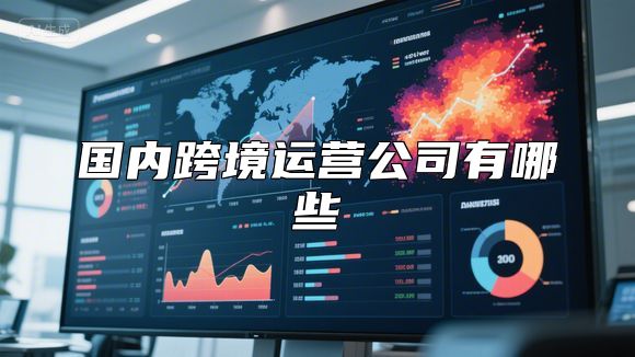 国内跨境运营公司有哪些