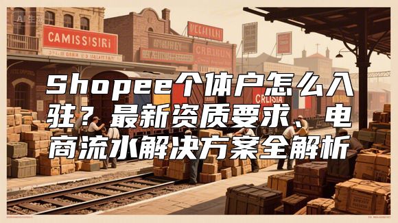 Shopee个体户怎么入驻？最新资质要求、电商流水解决方案全解析