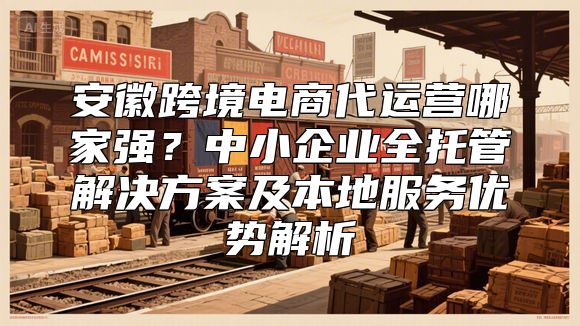 安徽跨境电商代运营哪家强？中小企业全托管解决方案及本地服务优势解析