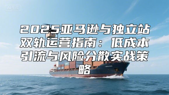 2025亚马逊与独立站双轨运营指南：低成本引流与风险分散实战策略
