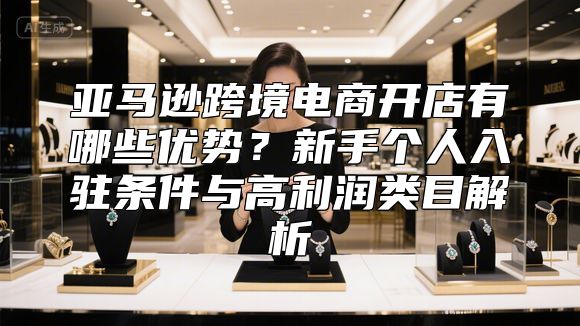 亚马逊跨境电商开店有哪些优势？新手个人入驻条件与高利润类目解析