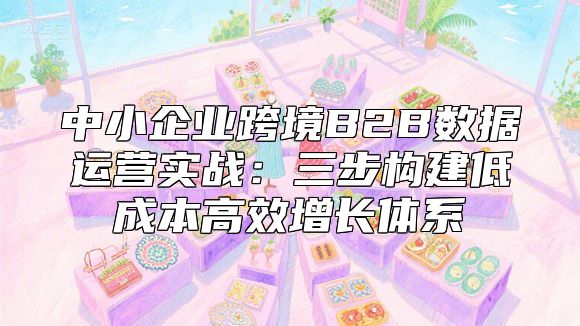 中小企业跨境B2B数据运营实战：三步构建低成本高效增长体系