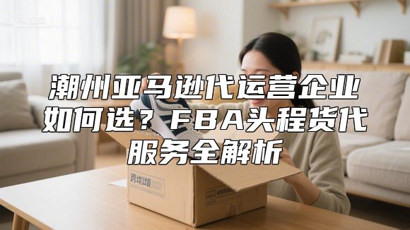潮州亚马逊代运营企业如何选？FBA头程货代服务全解析