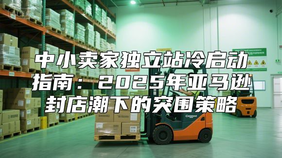 中小卖家独立站冷启动指南：2025年亚马逊封店潮下的突围策略