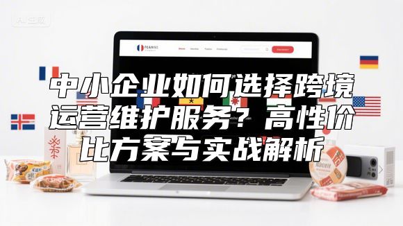 中小企业如何选择跨境运营维护服务？高性价比方案与实战解析