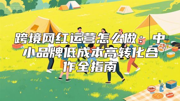 跨境网红运营怎么做：中小品牌低成本高转化合作全指南