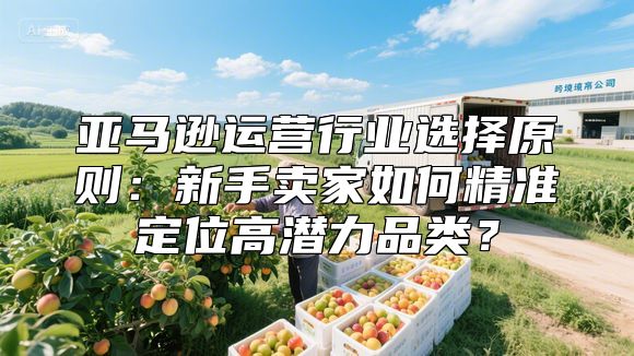 亚马逊运营行业选择原则：新手卖家如何精准定位高潜力品类？
