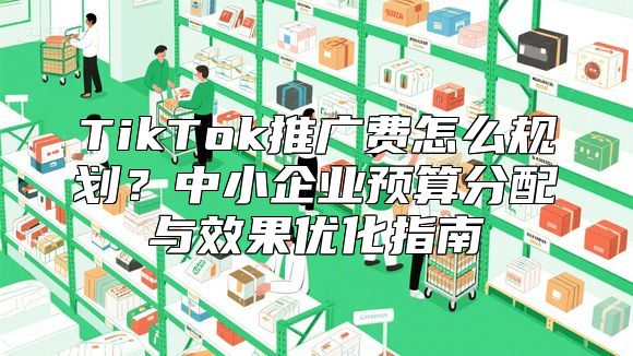 TikTok推广费怎么规划？中小企业预算分配与效果优化指南